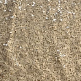 Large Dress Banquet Dance Host Evening Dress