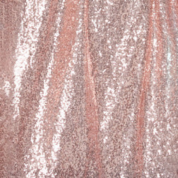 Large Dress Banquet Dance Host Evening Dress