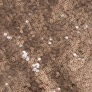 Large Dress Banquet Dance Host Evening Dress